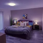 公寓 Residenza Santa Anastasia Lilla At Piazza Erbe